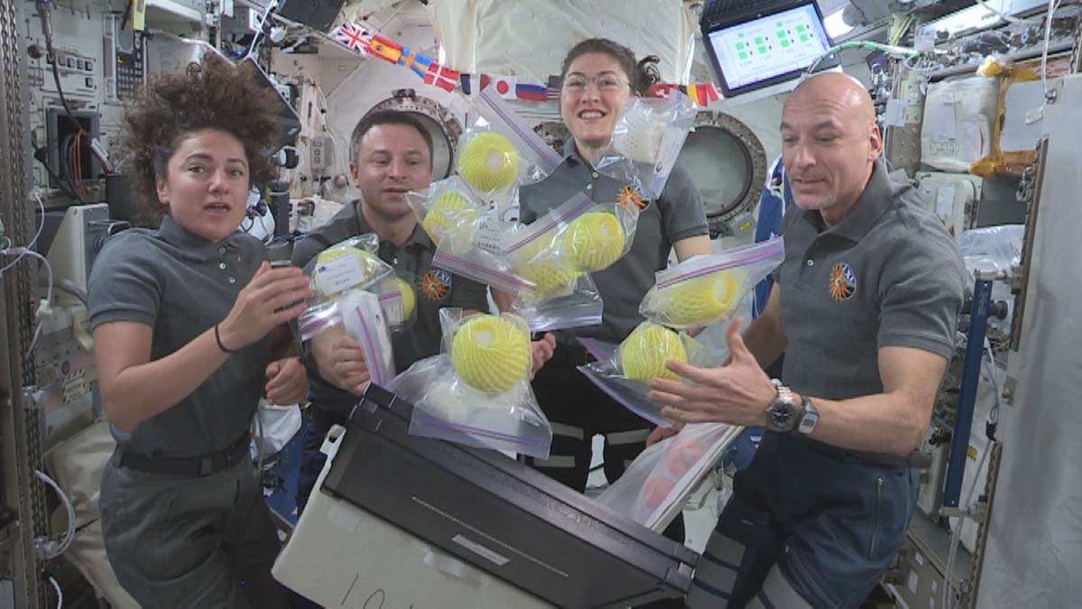 NASA-Astronauts-Jessica-Meir-Andrew-Morgan-and-Christina-Koch-and-ESA-Astronaut-Luca-Parmitano-open-a-bag-of-fresh-fruit-and-vegetables-delivered-by-the-HTV8-8Oct2019-image-JAXA-NASA