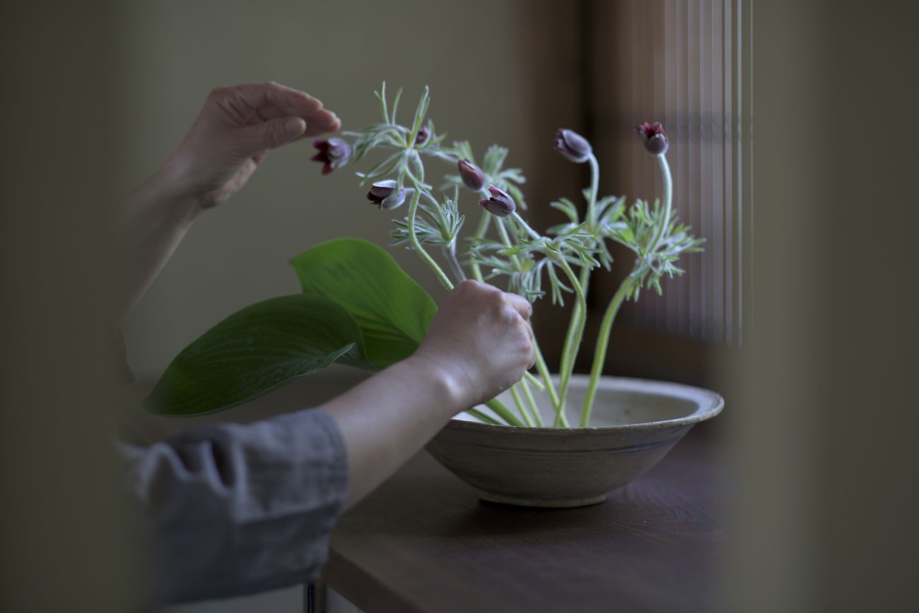 Criação de um arranjo de ikebana