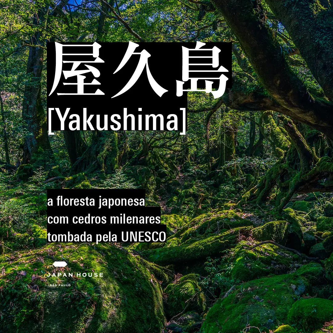 Yakushima: A Floresta Japonesa com Cedros Milenares Tombada pela