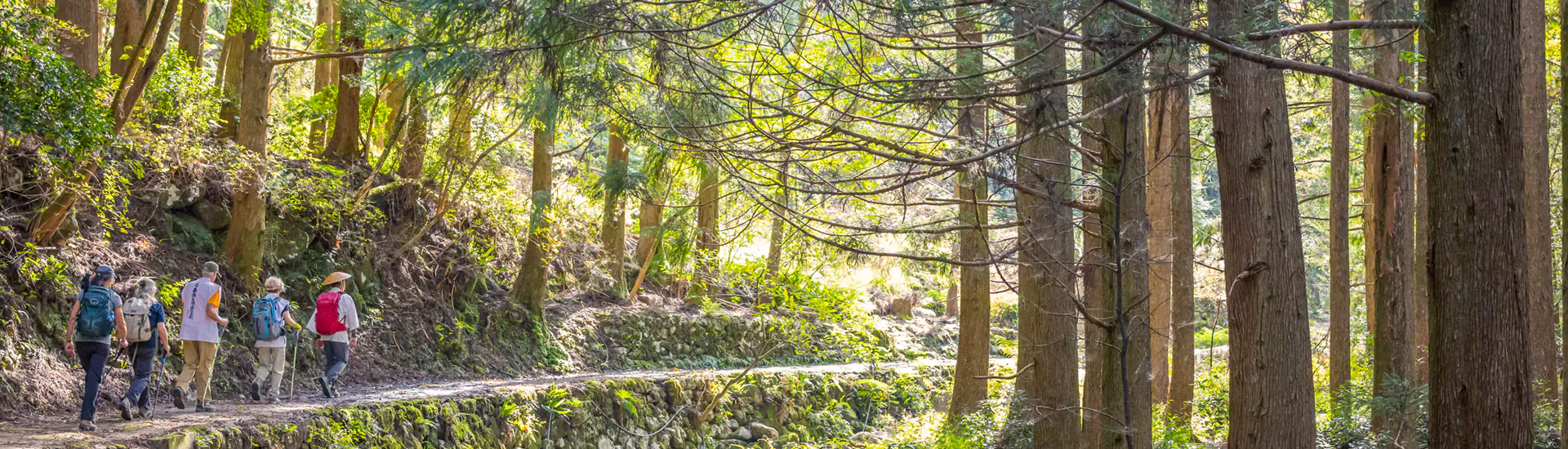 Trekking y Running en las Provincias Japonesas