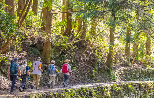  Trekking y Running en las Provincias Japonesas