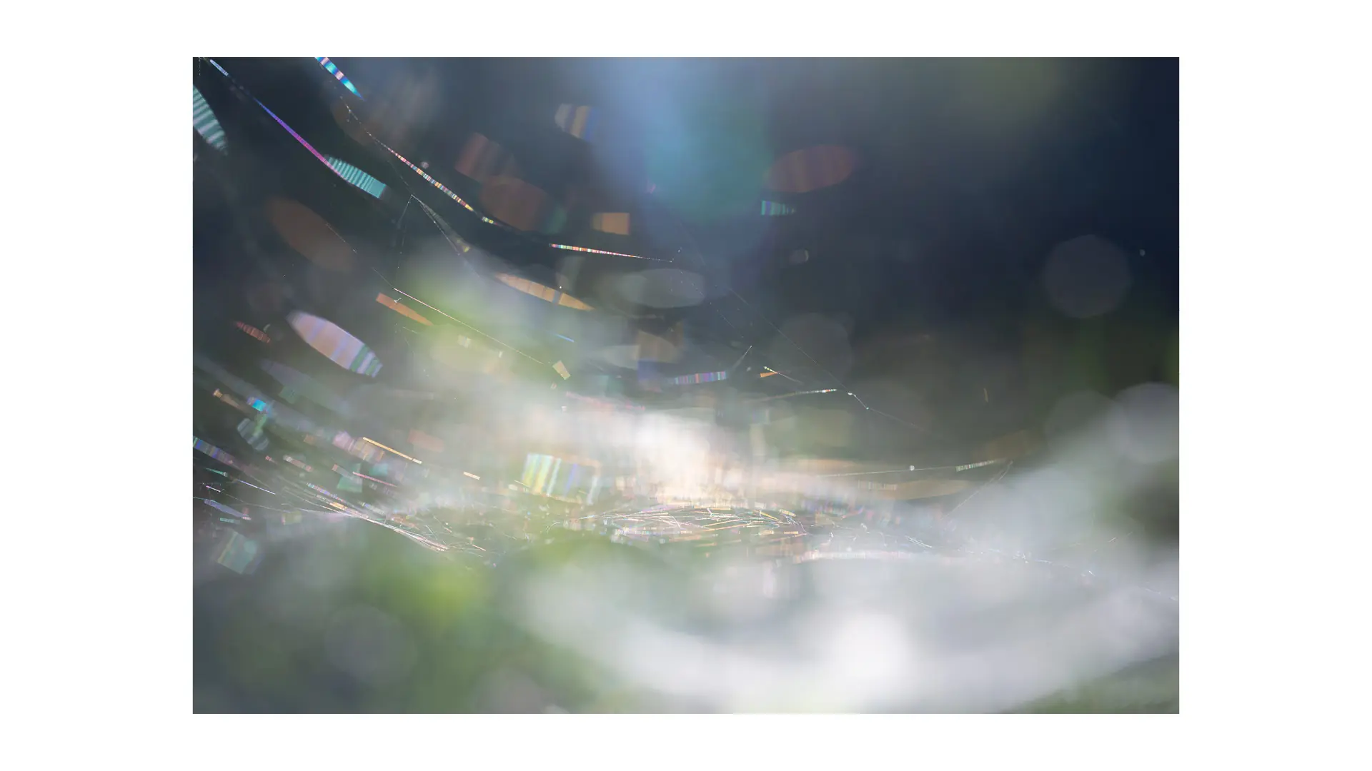 KyotoGraphie_Site4_0