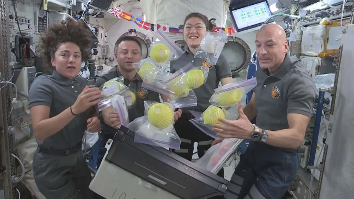 NASA-Astronauts-Jessica-Meir-Andrew-Morgan-and-Christina-Koch-and-ESA-Astronaut-Luca-Parmitano-open-a-bag-of-fresh-fruit-and-vegetables-delivered-by-the-HTV8-8Oct2019-image-JAXA-NASA