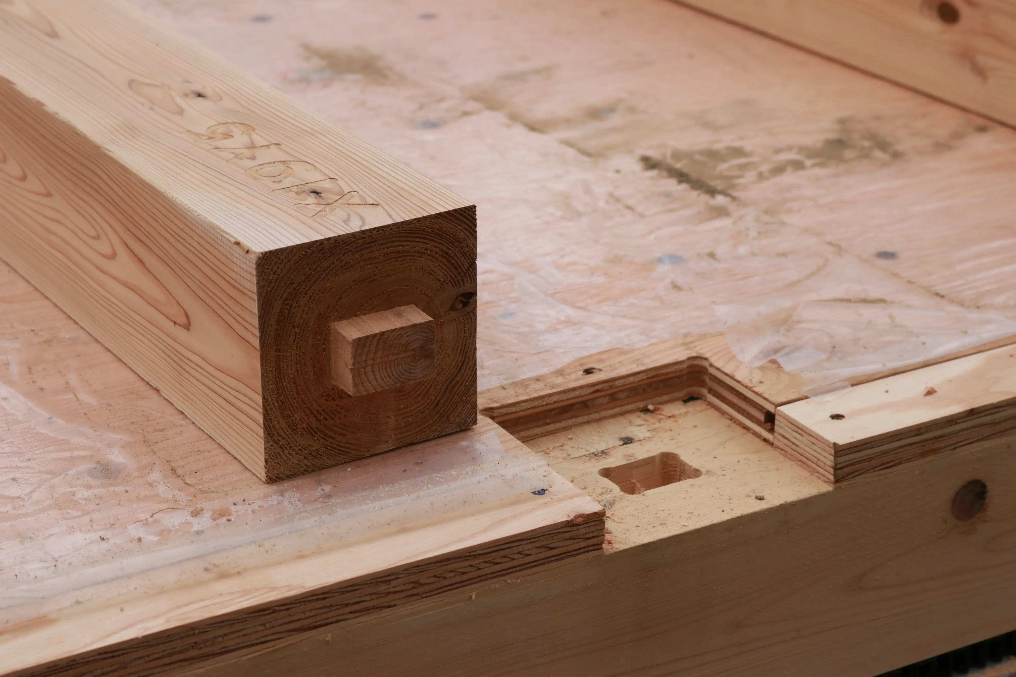 parts01_Crédito_ Hayato Kurobe