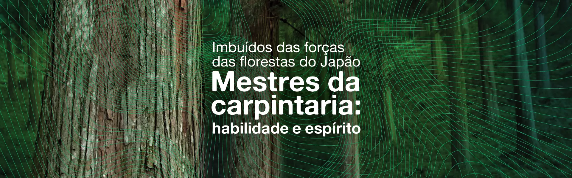 Prorrogação da exposição de carpintaria japonesa
