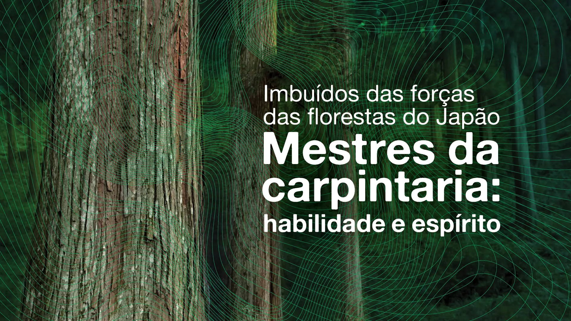  Imbuidos de las fuerzas de los bosques de Japón – Maestros de la carpintería: habilidad y espíritu
