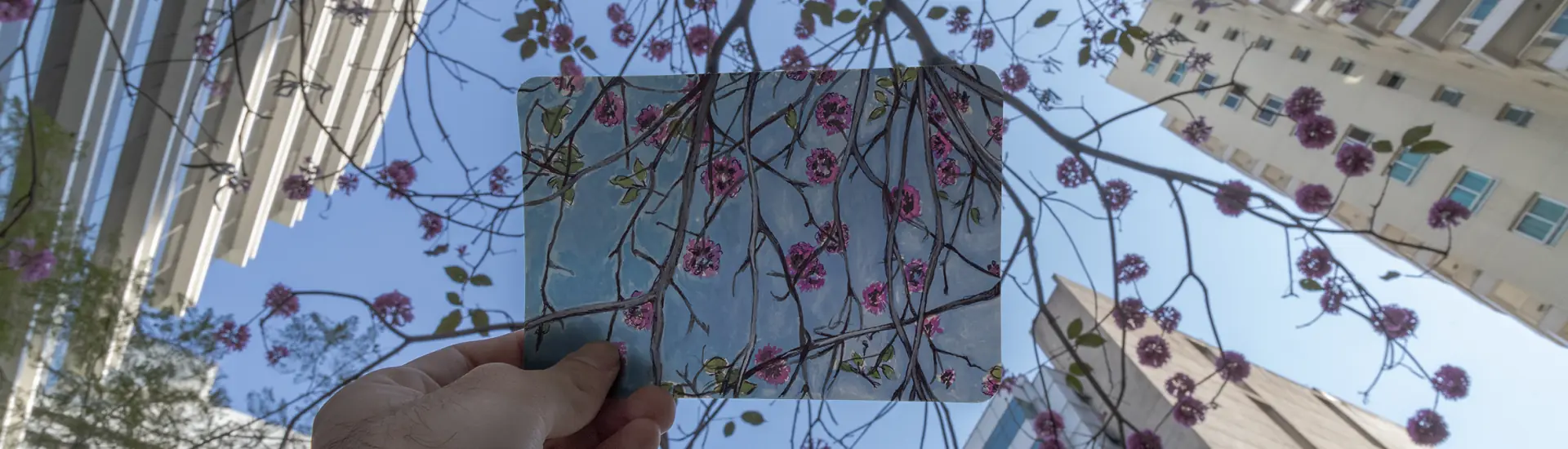 Paulista Cultural // Nengajō & komorebi – Cartões postais em aquarela com Bruno Mitsuo Makia