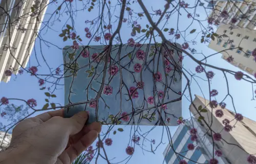  Paulista Cultural // Nengajō & komorebi – Cartões postais em aquarela com Bruno Mitsuo Makia