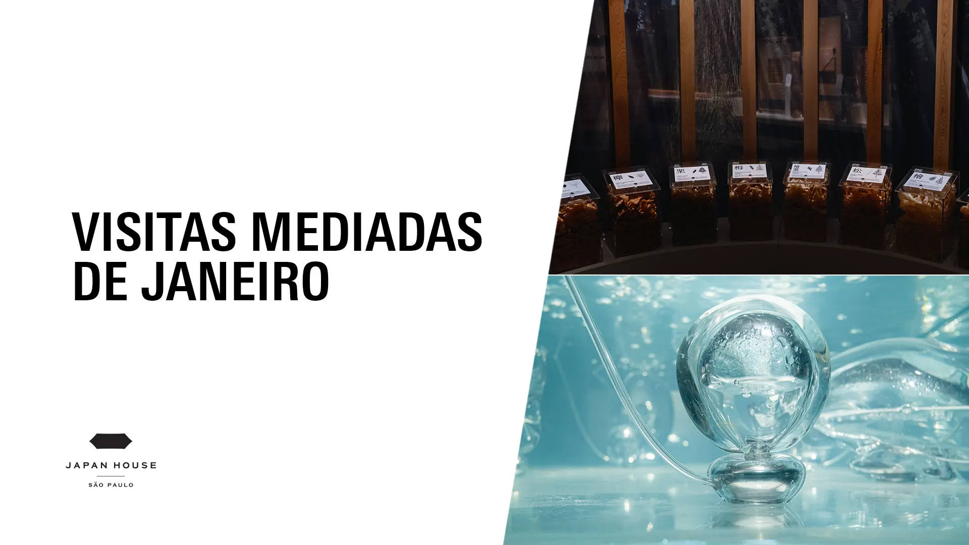  Visitas mediadas de janeiro