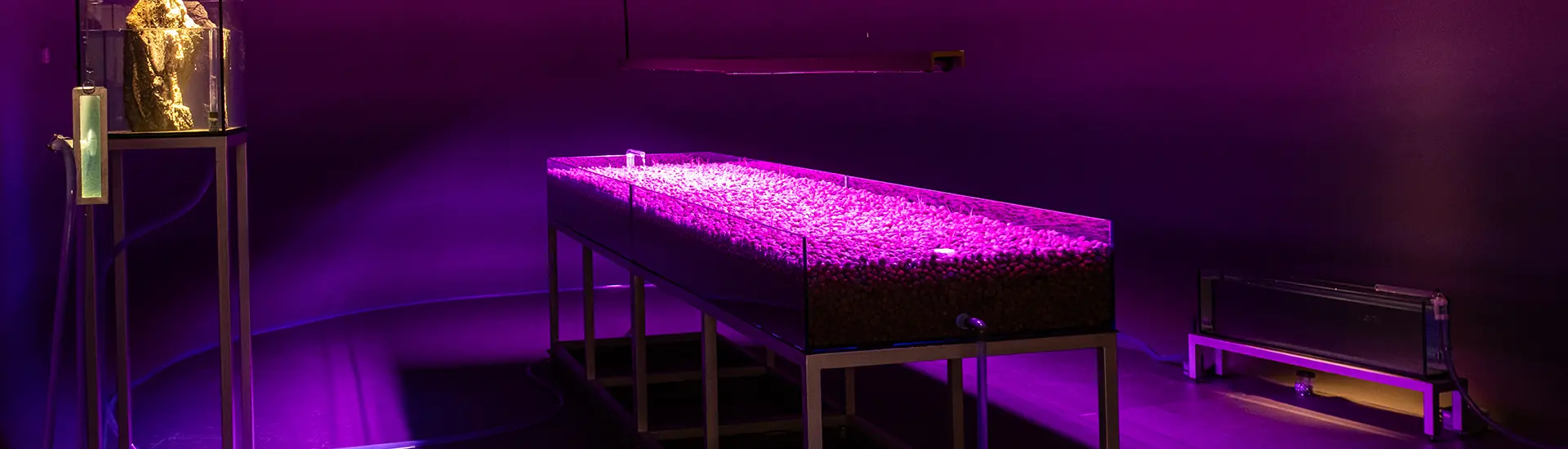 Prorrogação da exposição ‘Fluxos – o Japão e a água’