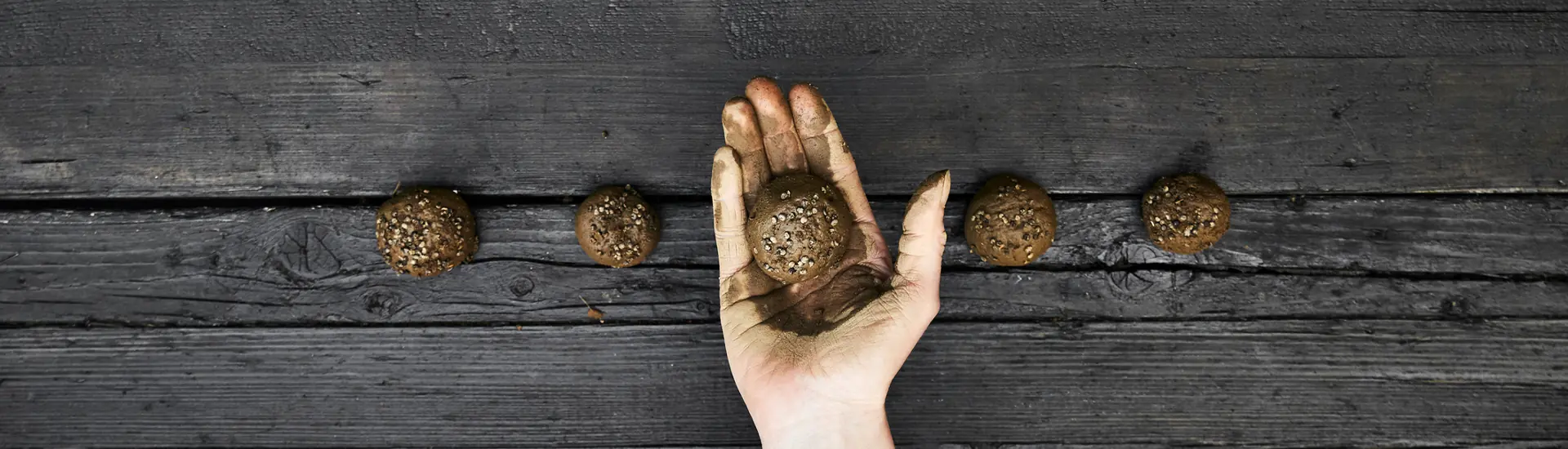 Workshop // Nendo dango: técnica de cultivo para reflorestamento