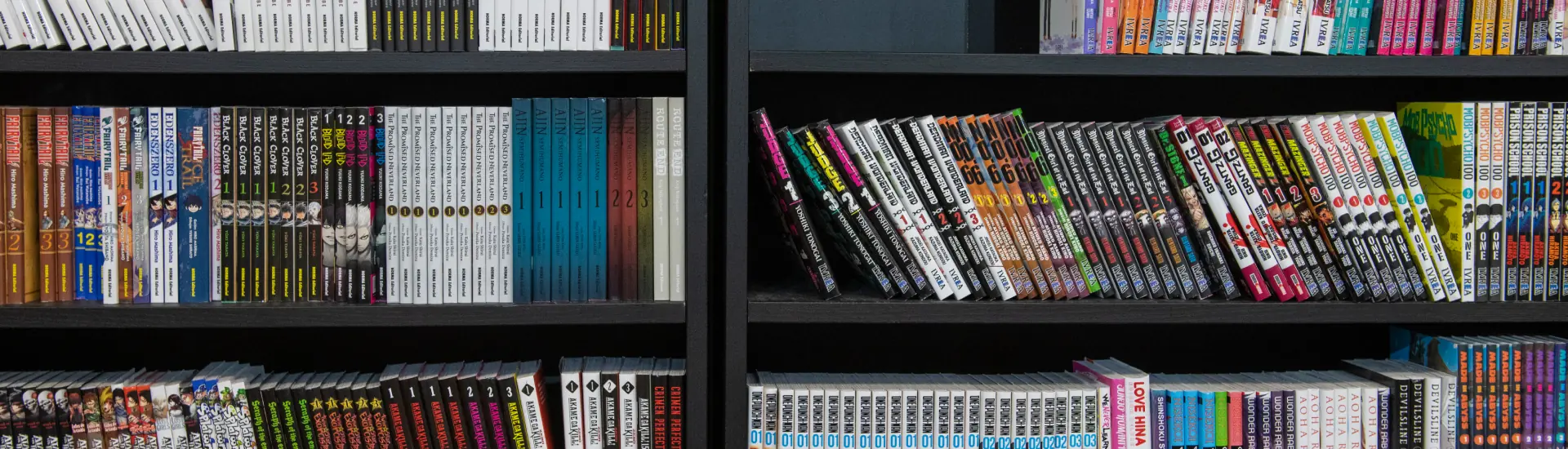 Mangá: um guia para iniciantes