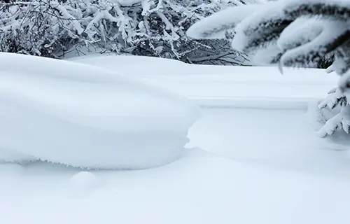 A Neve // Shiro: uma escala de nuances