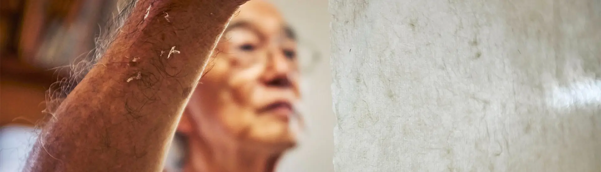 Palestra // Da fibra ao papel: a artesania de Kamori